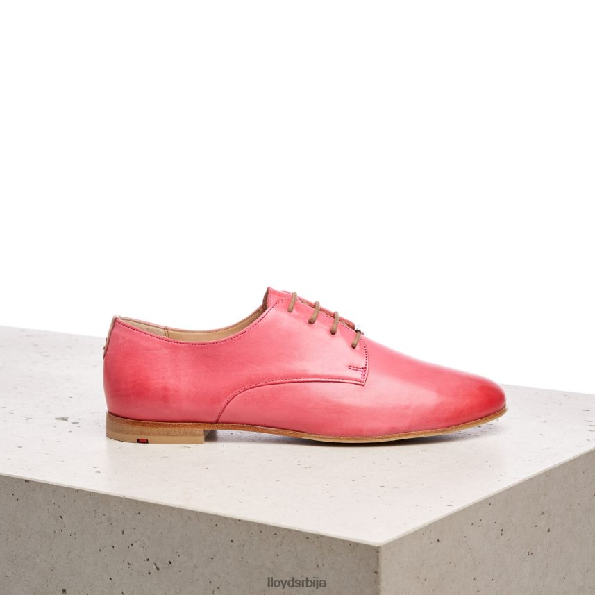 полуципеле од глатке коже од чипке Жене D0806T1093 ципеле розе LLOYD