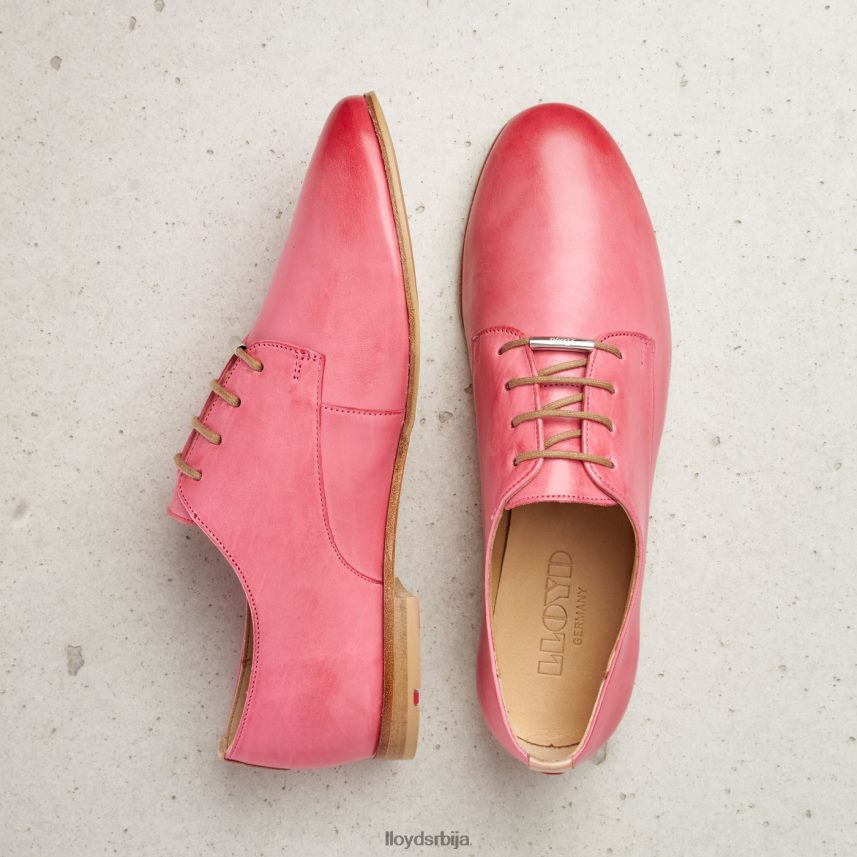 полуципеле од глатке коже од чипке Жене D0806T1093 ципеле розе LLOYD