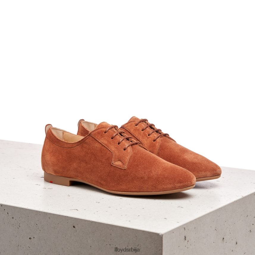 суеде полуципеле на пертле Жене D0806T1185 ципеле браон LLOYD