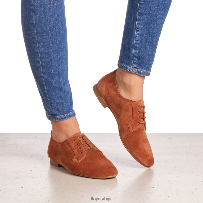 суеде полуципеле на пертле Жене D0806T1185 ципеле браон LLOYD