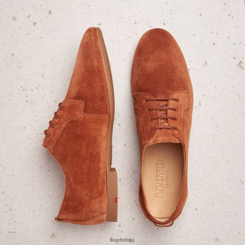 суеде полуципеле на пертле Жене D0806T1185 ципеле браон LLOYD