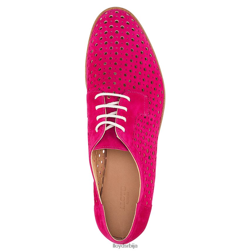 суеде полуципеле на пертле Жене D0806T1359 ципеле црвена LLOYD