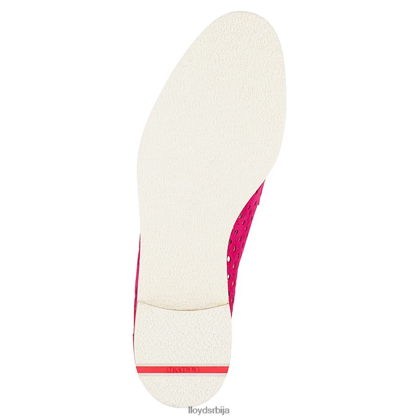 суеде полуципеле на пертле Жене D0806T1359 ципеле црвена LLOYD