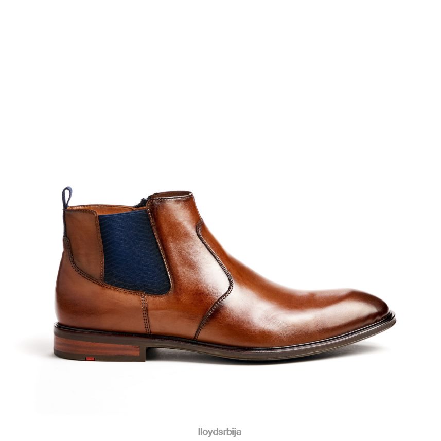 маттео мушкарци D0806T12 ципеле браон LLOYD