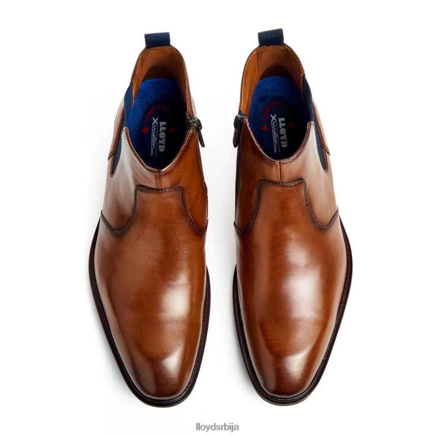 маттео мушкарци D0806T12 ципеле браон LLOYD