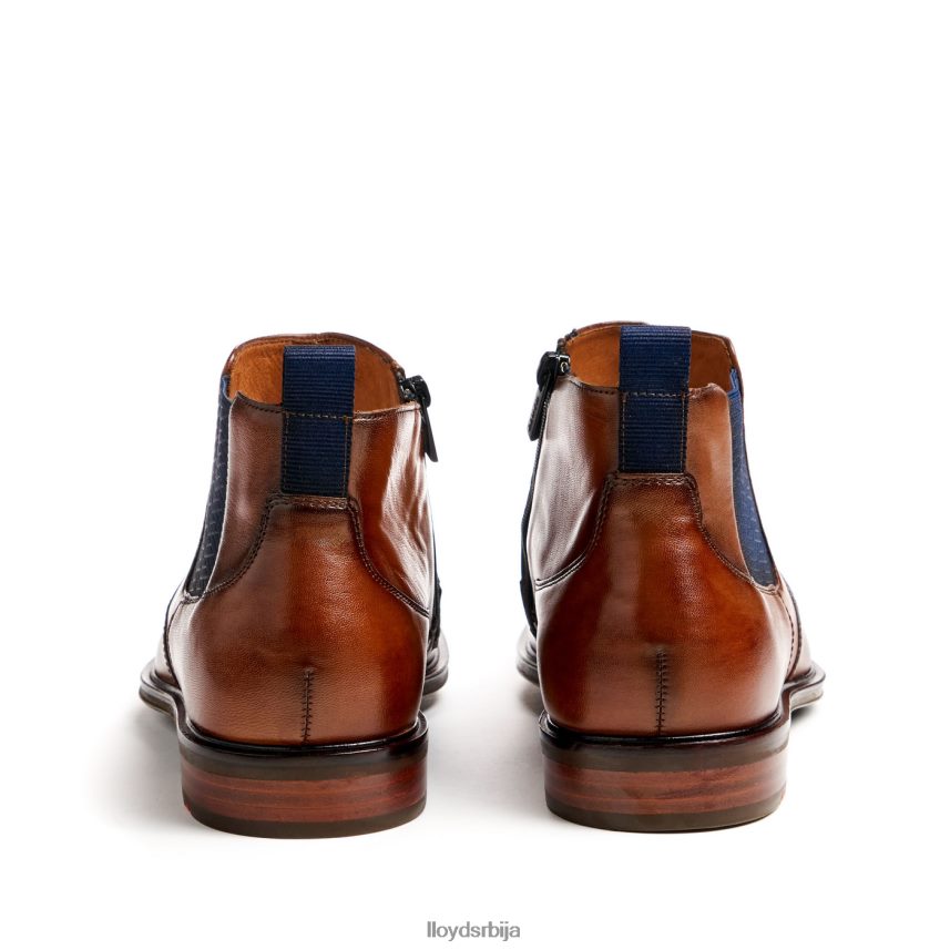 маттео мушкарци D0806T12 ципеле браон LLOYD