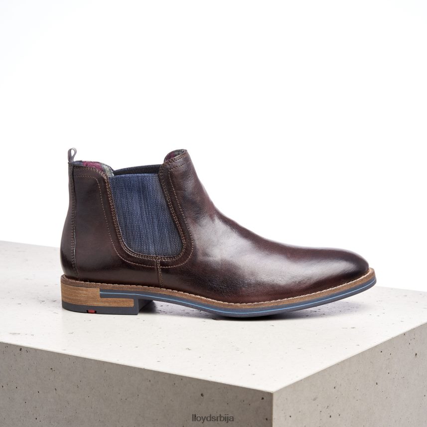 дарио мушкарци D0806T1342 ципеле браон LLOYD