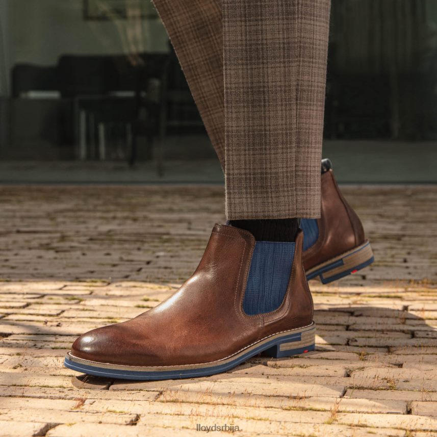 дарио мушкарци D0806T1343 ципеле браон LLOYD