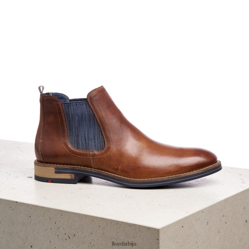 дарио мушкарци D0806T1343 ципеле браон LLOYD