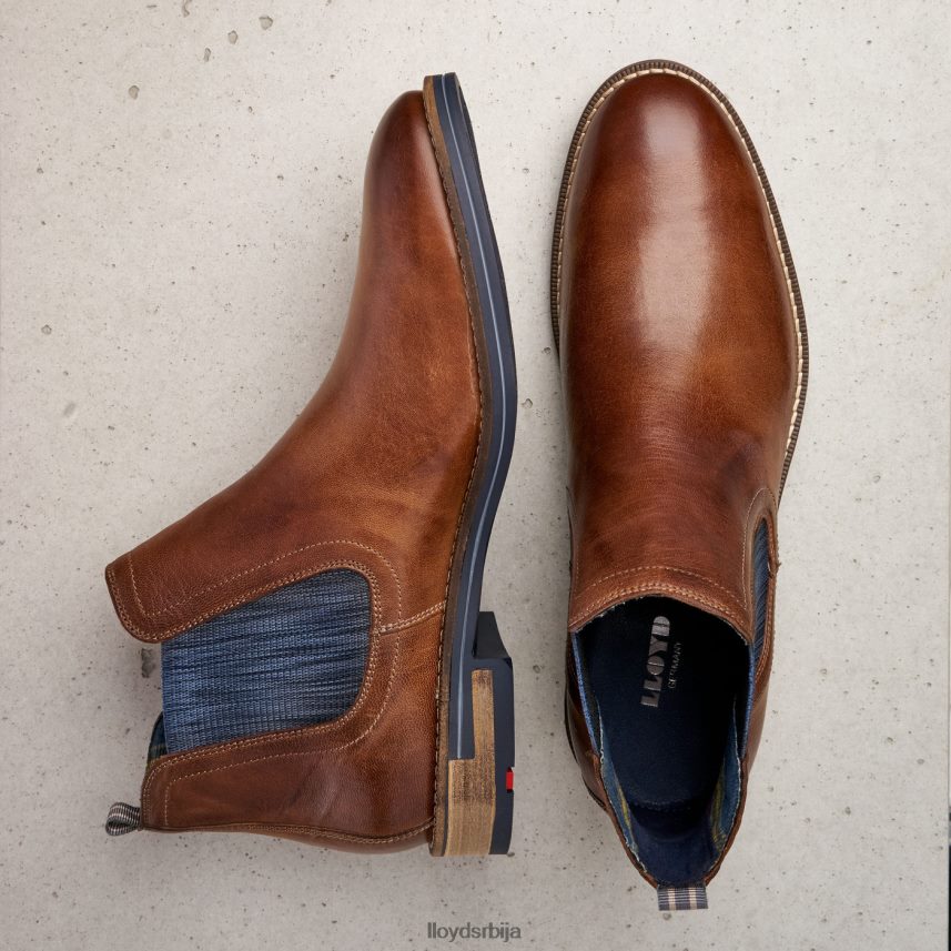 дарио мушкарци D0806T1343 ципеле браон LLOYD