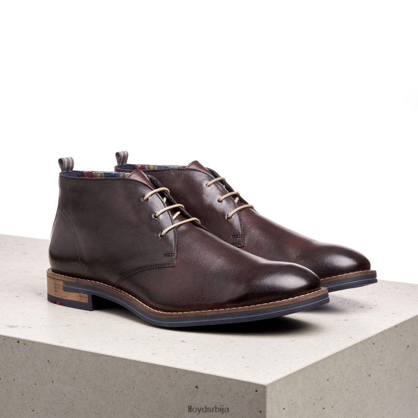 даниел мушкарци D0806T168 ципеле браон LLOYD