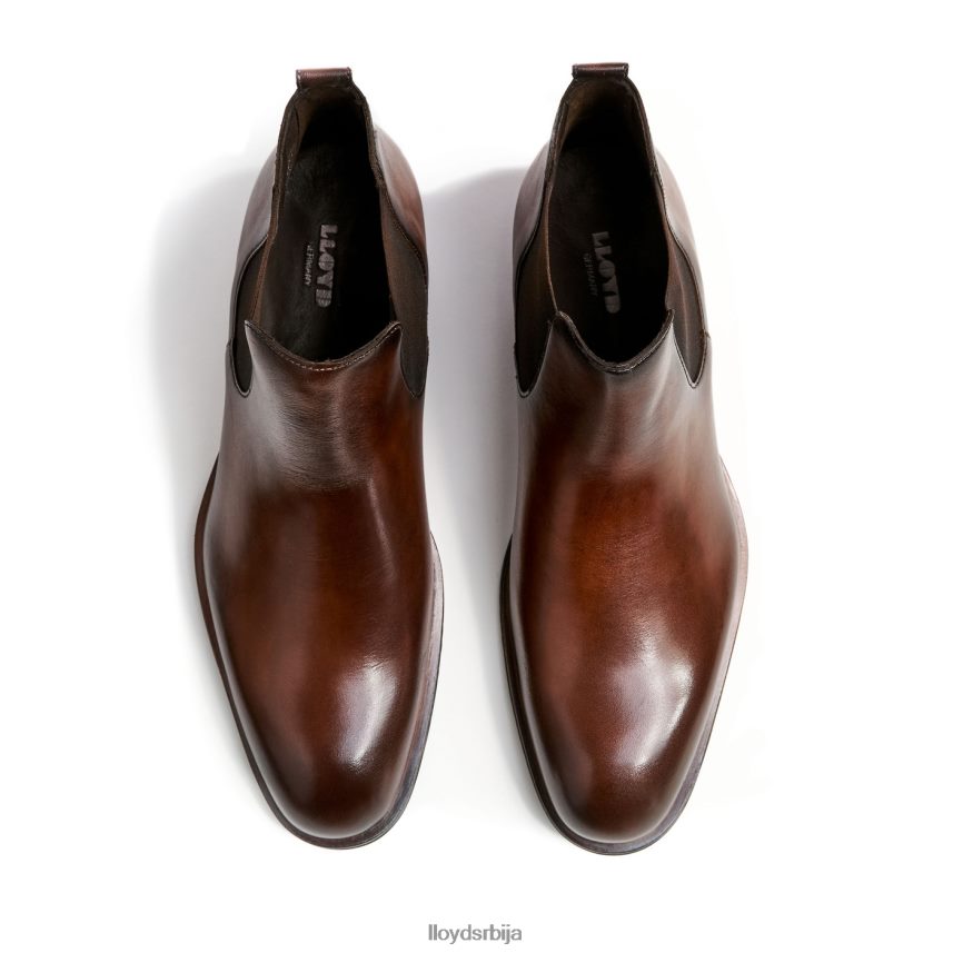 извиђач мушкарци D0806T239 ципеле браон LLOYD