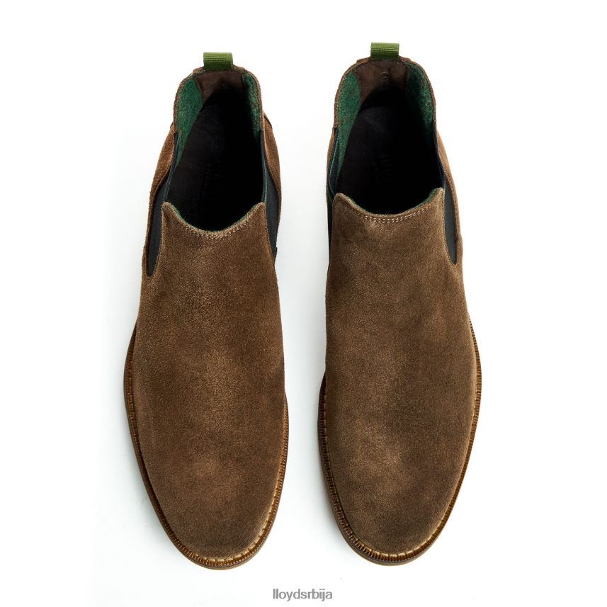 дарри мушкарци D0806T457 ципеле браон LLOYD