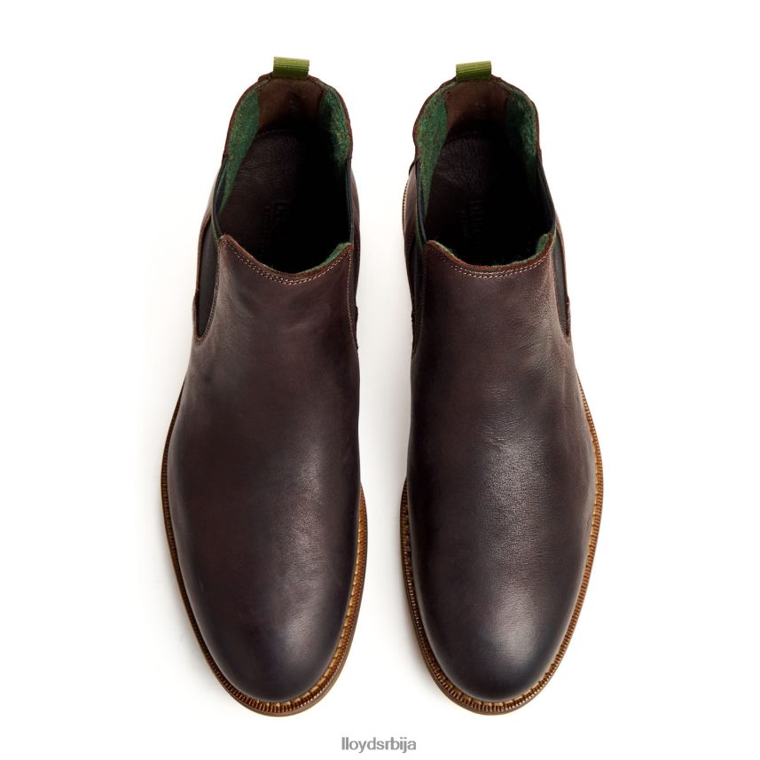 дарри мушкарци D0806T459 ципеле браон LLOYD