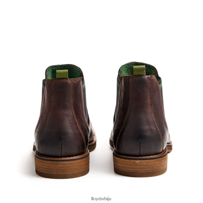 дарри мушкарци D0806T459 ципеле браон LLOYD