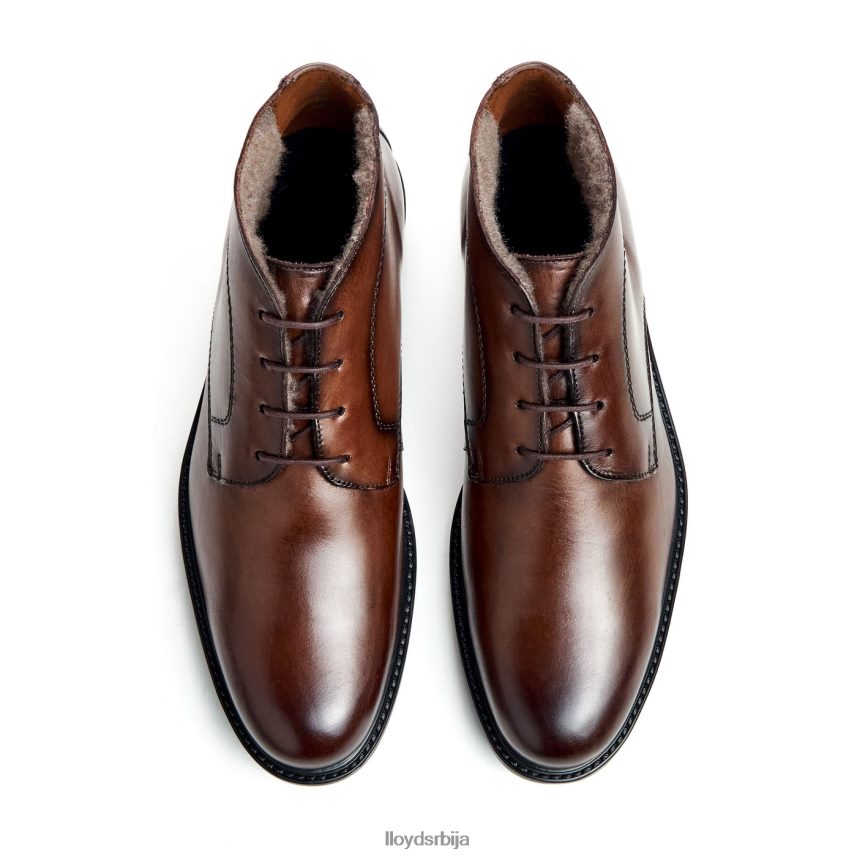 делаваре мушкарци D0806T461 ципеле браон LLOYD