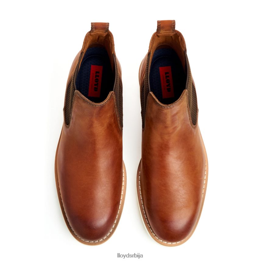 дентон мушкарци D0806T477 ципеле браон LLOYD