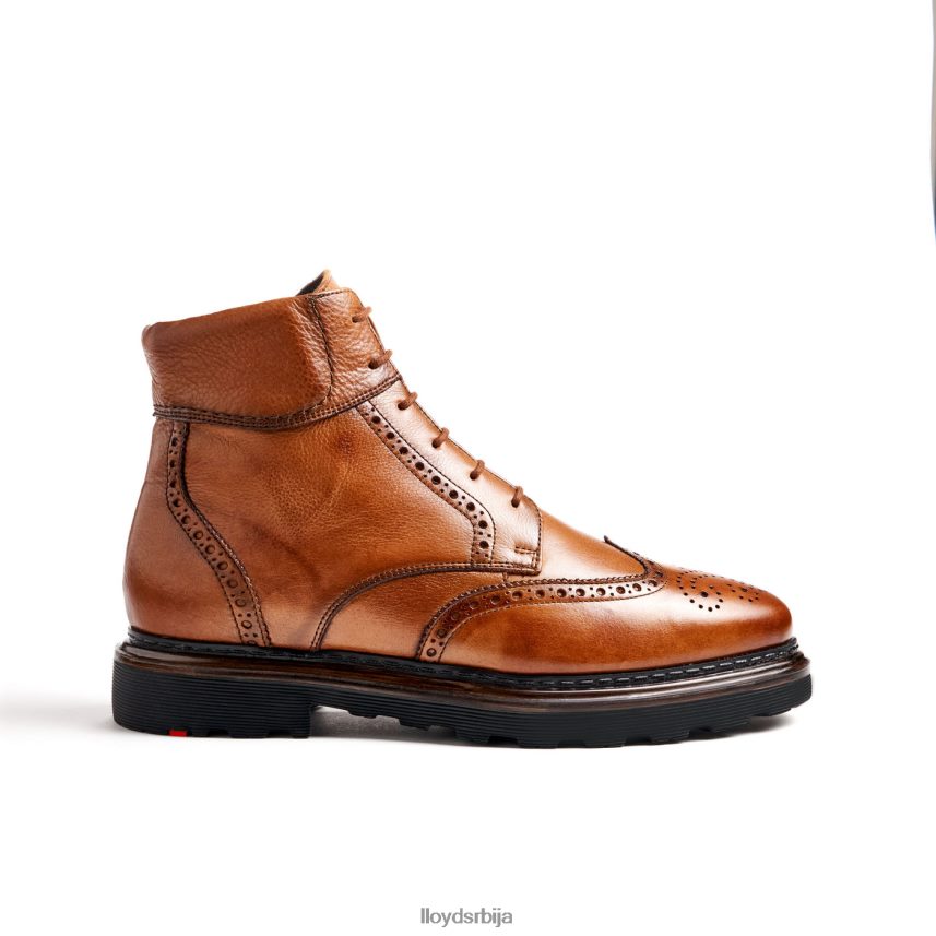 оско мушкарци D0806T502 ципеле браон LLOYD