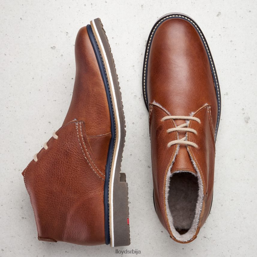 валенциа мушкарци D0806T507 ципеле браон LLOYD