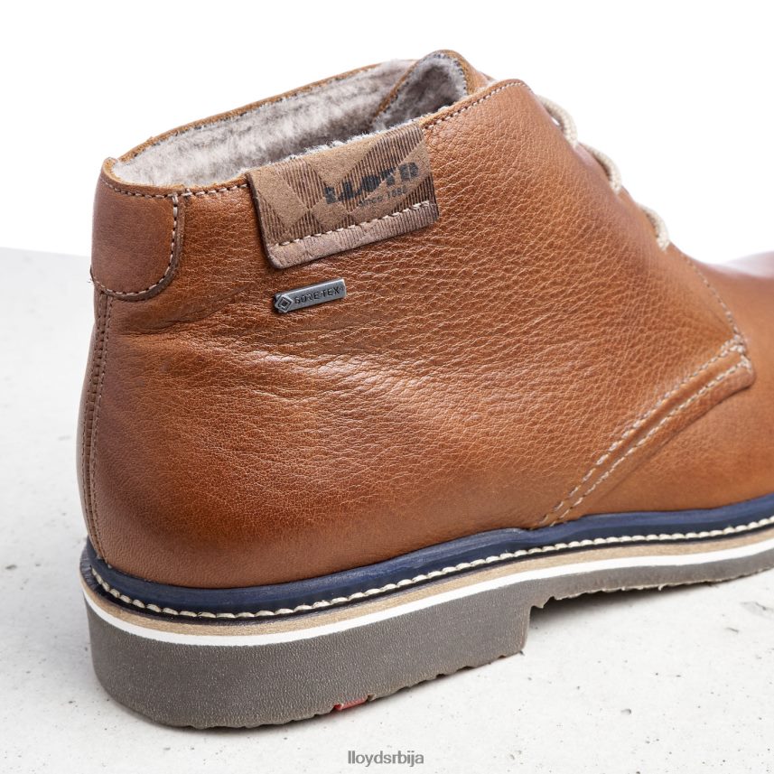 валенциа мушкарци D0806T507 ципеле браон LLOYD