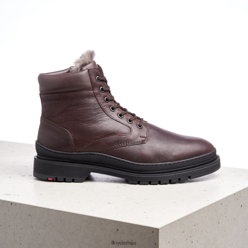 холлис мушкарци D0806T509 ципеле браон LLOYD