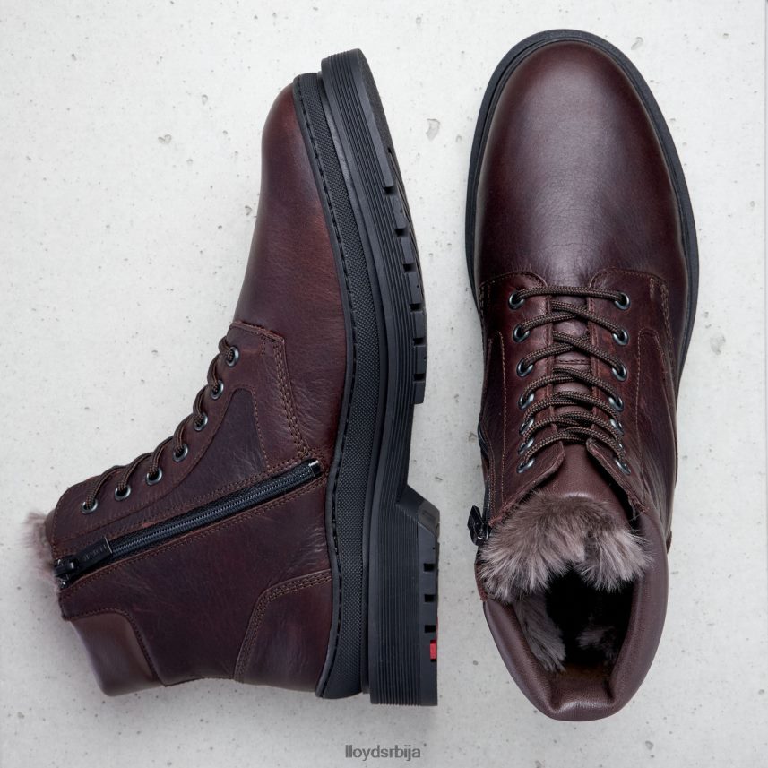 холлис мушкарци D0806T509 ципеле браон LLOYD