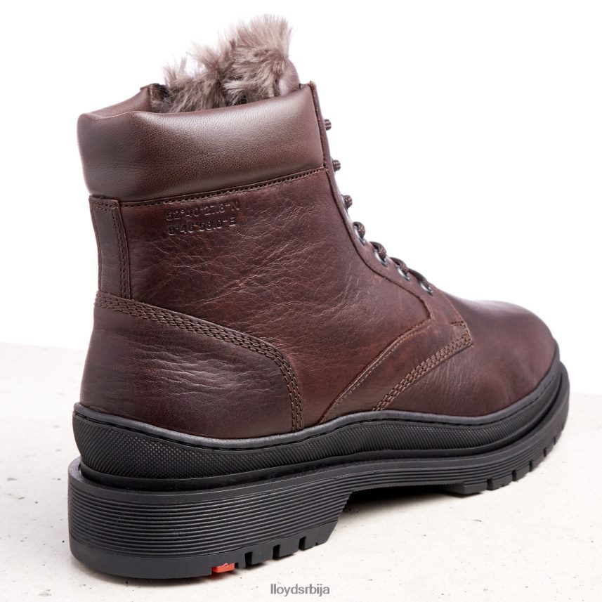 холлис мушкарци D0806T509 ципеле браон LLOYD