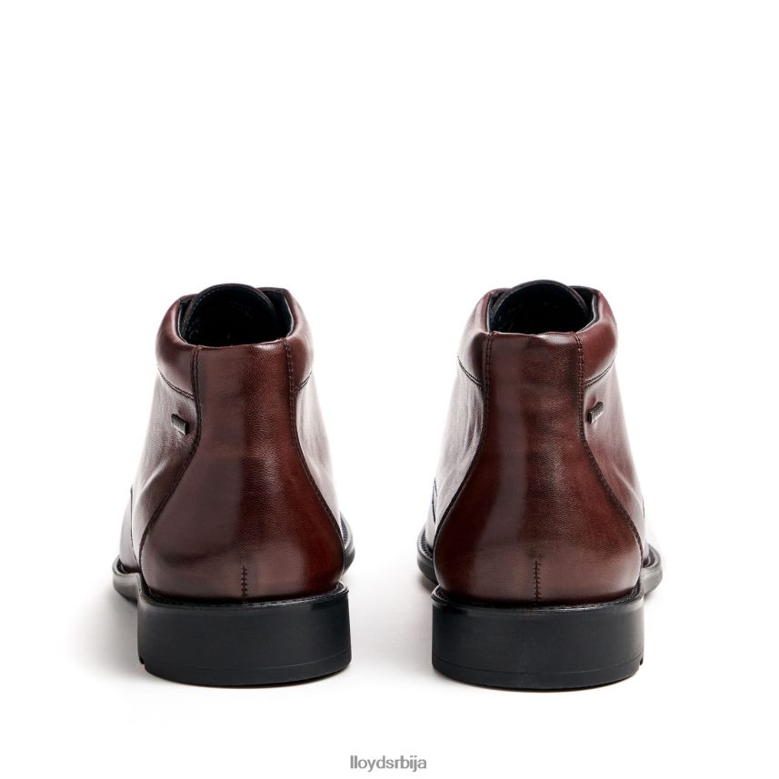 винове лозе мушкарци D0806T528 ципеле браон LLOYD