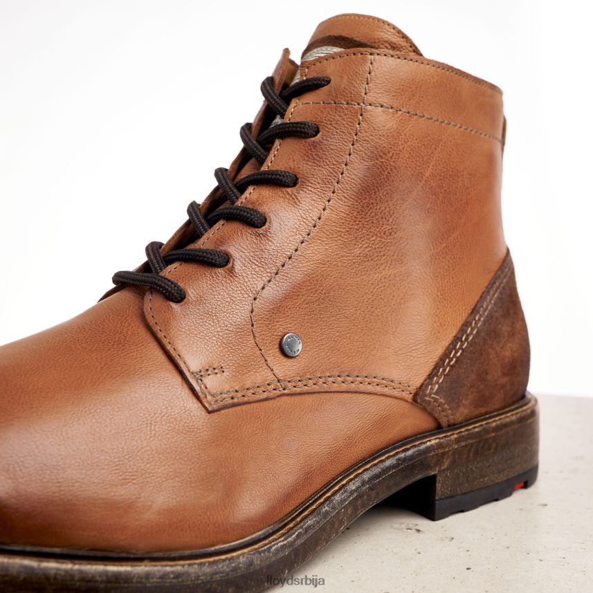 дваин мушкарци D0806T535 ципеле браон LLOYD