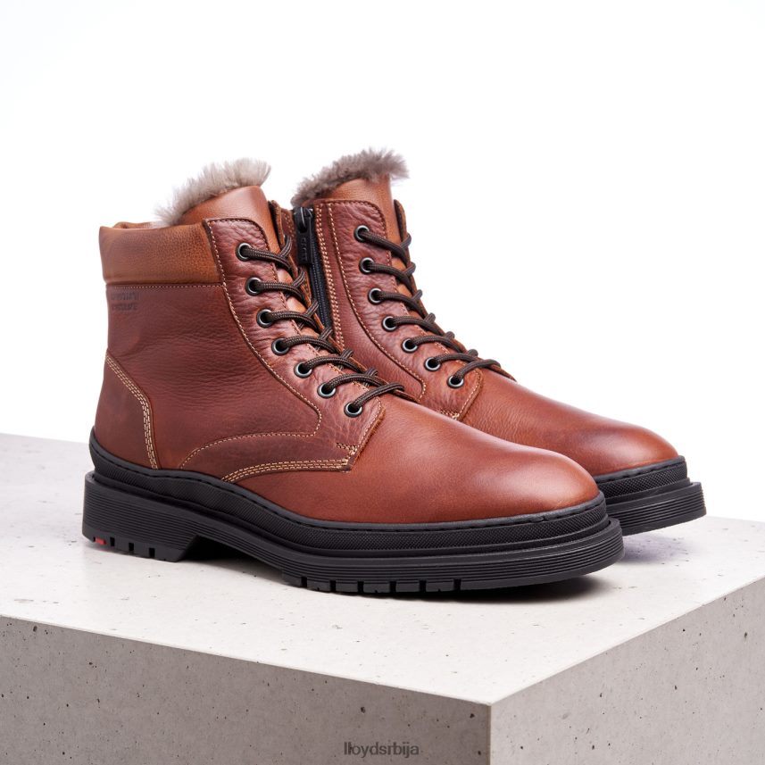 холлис мушкарци D0806T537 ципеле браон LLOYD