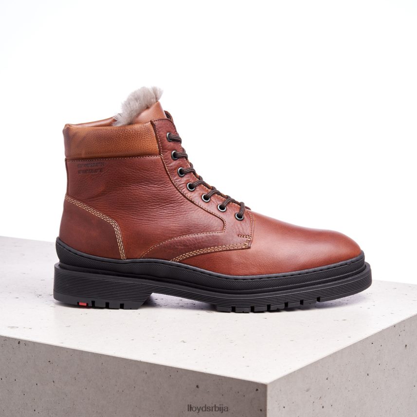 холлис мушкарци D0806T537 ципеле браон LLOYD