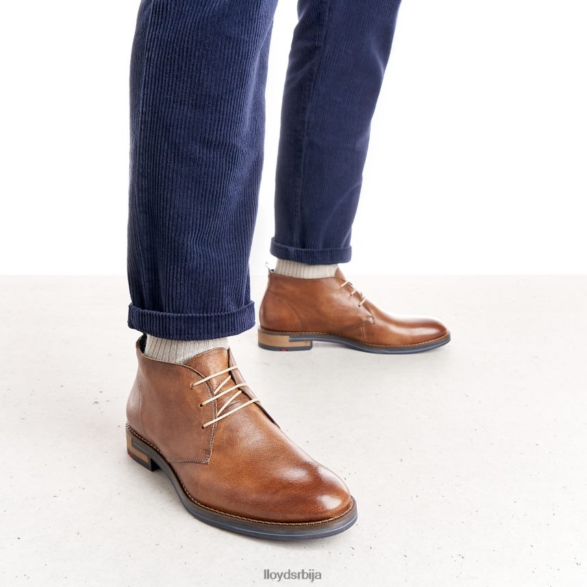 даниел мушкарци D0806T549 ципеле браон LLOYD