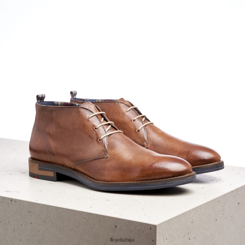 даниел мушкарци D0806T549 ципеле браон LLOYD