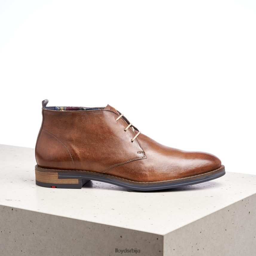 даниел мушкарци D0806T549 ципеле браон LLOYD