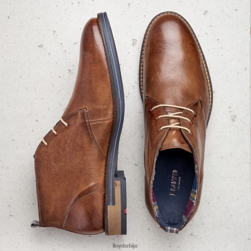 даниел мушкарци D0806T549 ципеле браон LLOYD