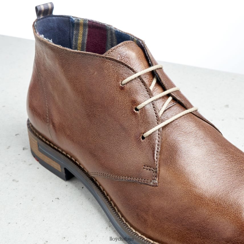 даниел мушкарци D0806T549 ципеле браон LLOYD