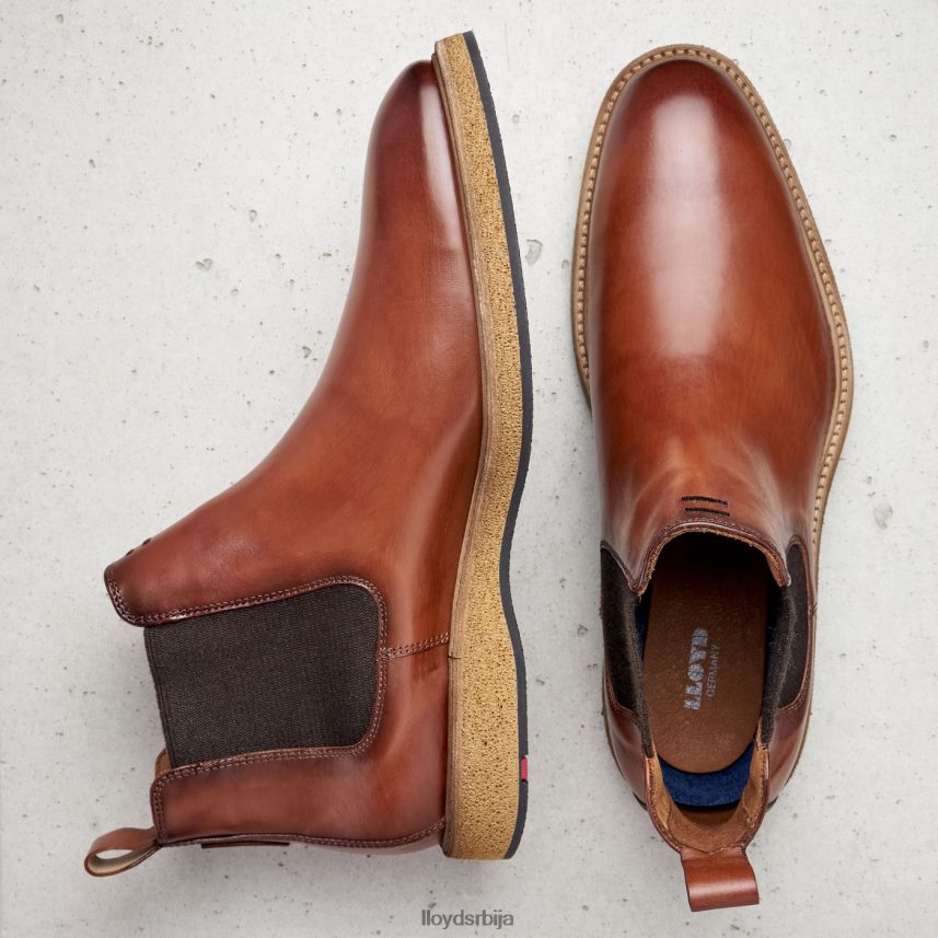 орис мушкарци D0806T558 ципеле браон LLOYD