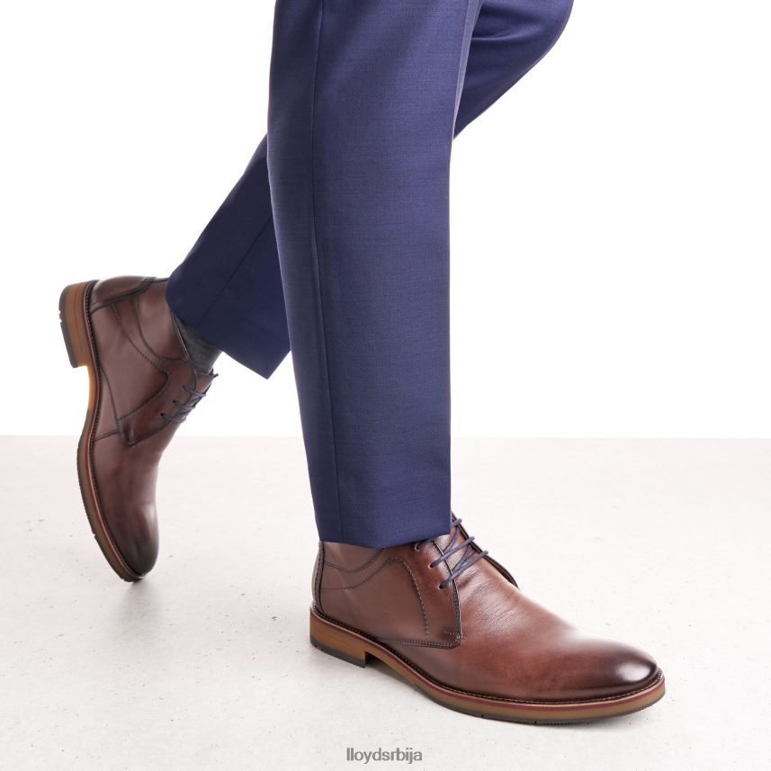 хастингс мушкарци D0806T566 ципеле браон LLOYD