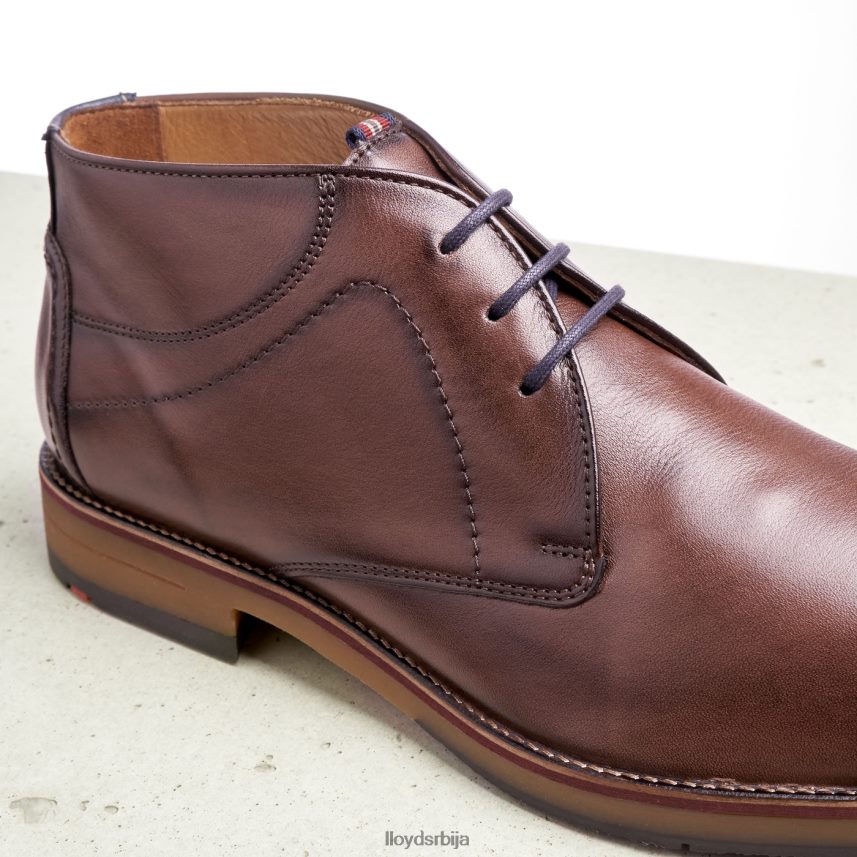 хастингс мушкарци D0806T566 ципеле браон LLOYD