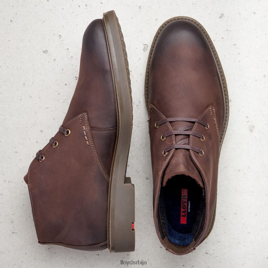 скал мушкарци D0806T6 ципеле браон LLOYD