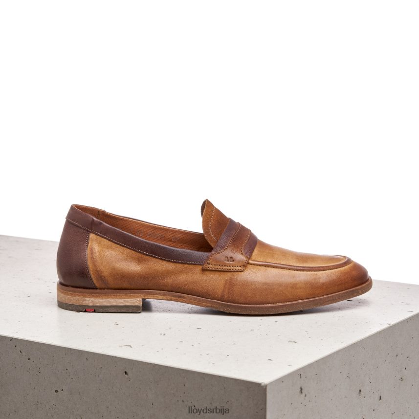 октант мушкарци D0806T604 ципеле браон LLOYD