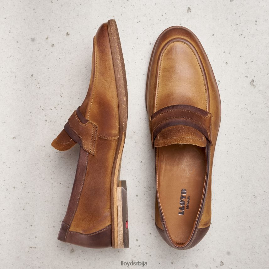 октант мушкарци D0806T604 ципеле браон LLOYD