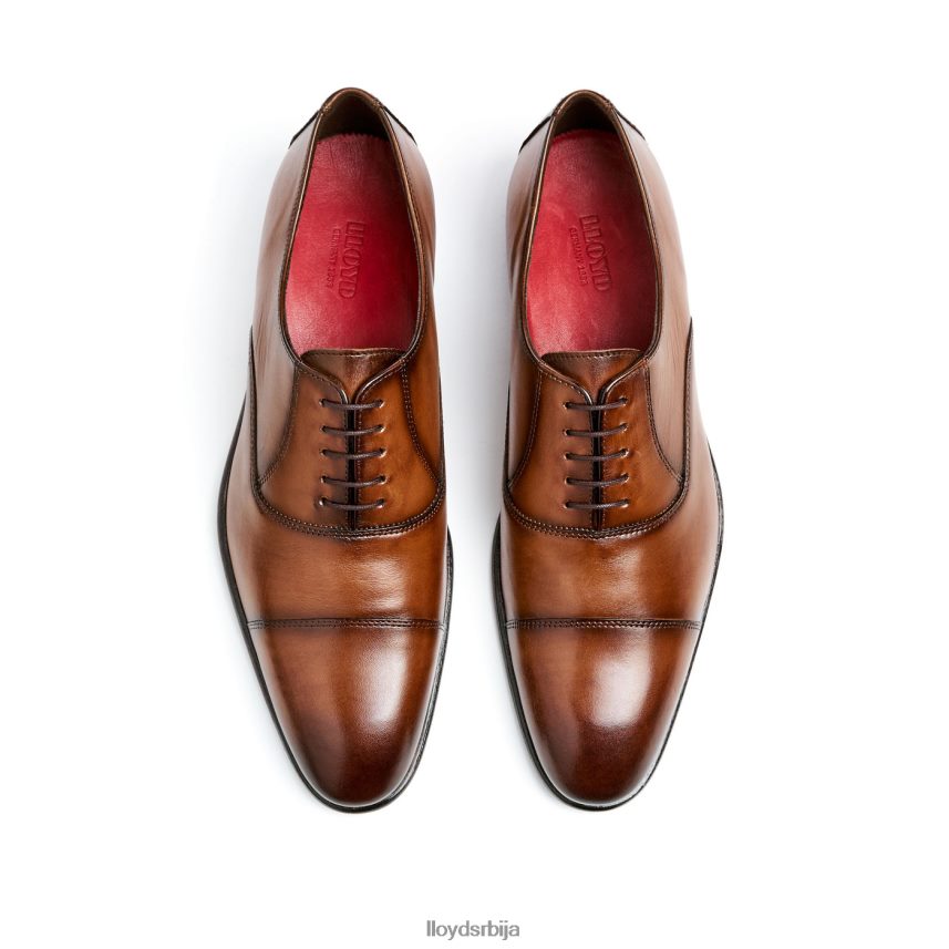 базен мушкарци D0806T1 ципеле браон LLOYD