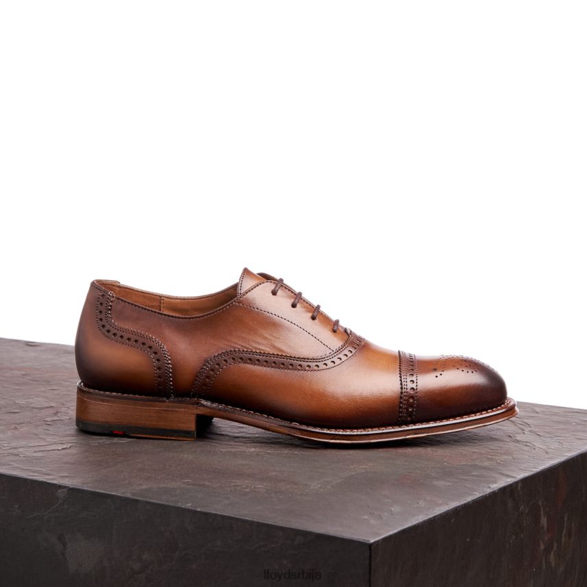 ватерлоо мушкарци D0806T21 ципеле браон LLOYD