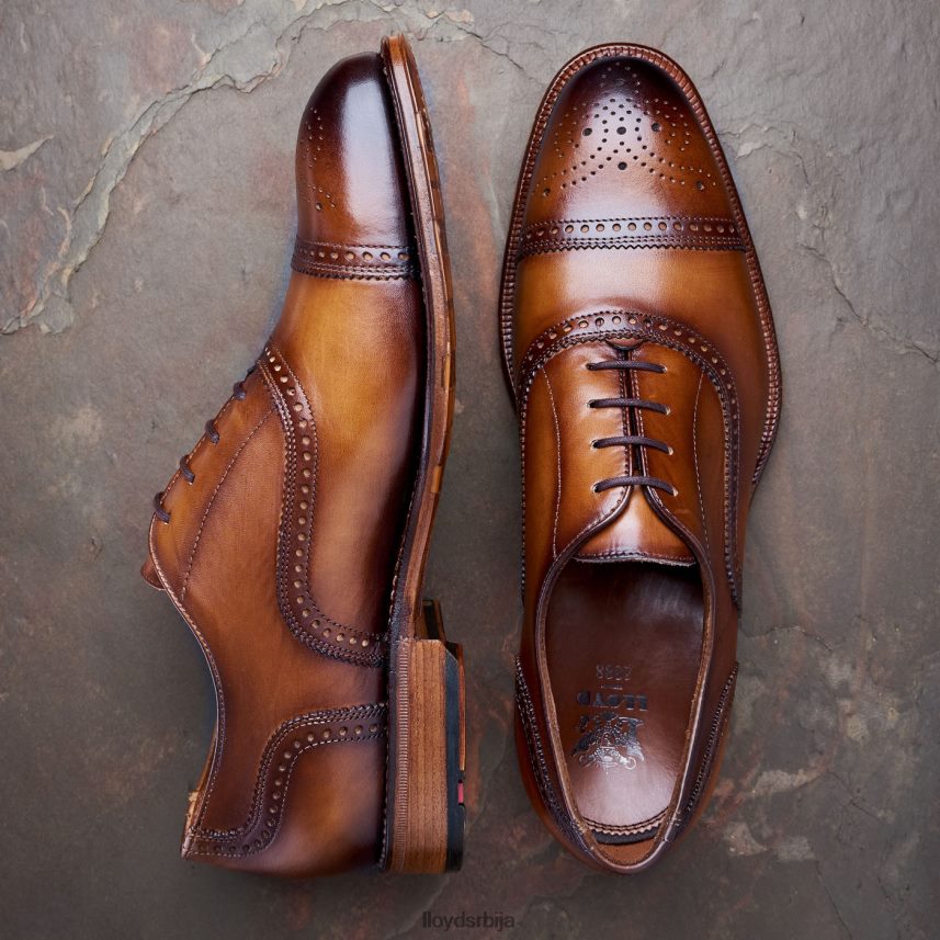 ватерлоо мушкарци D0806T21 ципеле браон LLOYD