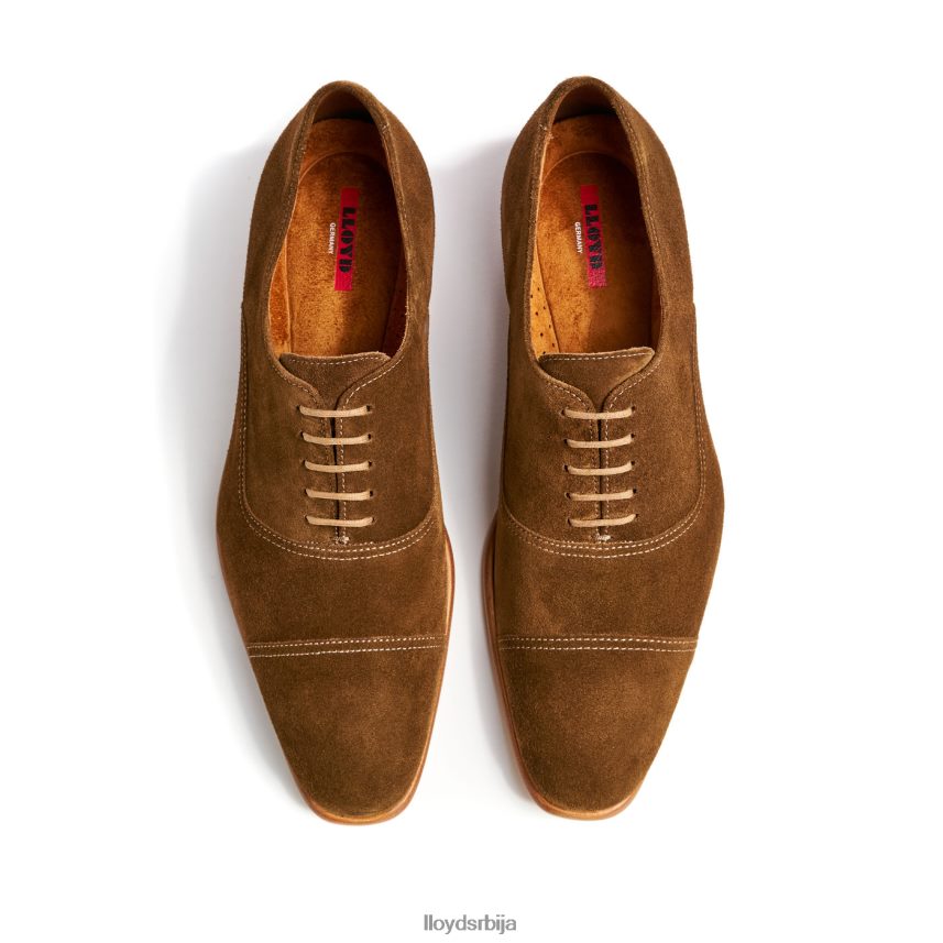 рандо мушкарци D0806T231 ципеле браон LLOYD