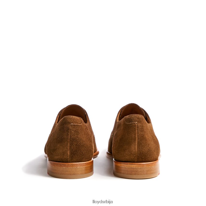 рандо мушкарци D0806T231 ципеле браон LLOYD