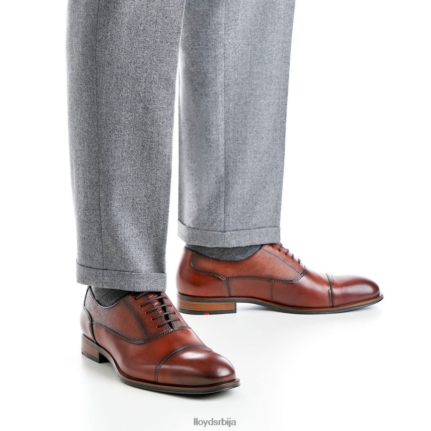 Сантиаго мушкарци D0806T238 ципеле браон LLOYD