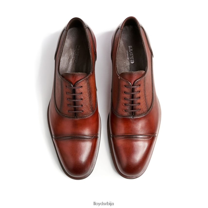 Сантиаго мушкарци D0806T238 ципеле браон LLOYD