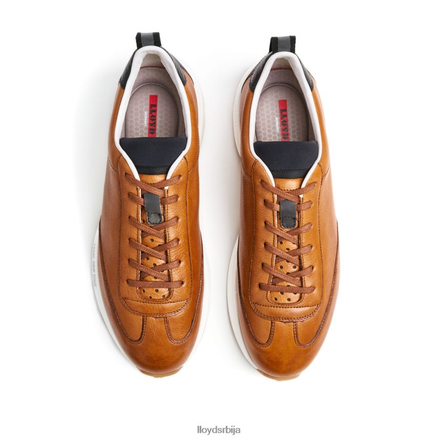 вело 6 мушкарци D0806T435 ципеле браон LLOYD